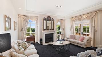 TV, fireplace, books