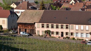 A residential area with houses, a barn, and a vineyard. - Charming renovated apartment for 4 with terrace in Hunawihr (Hunawihr)