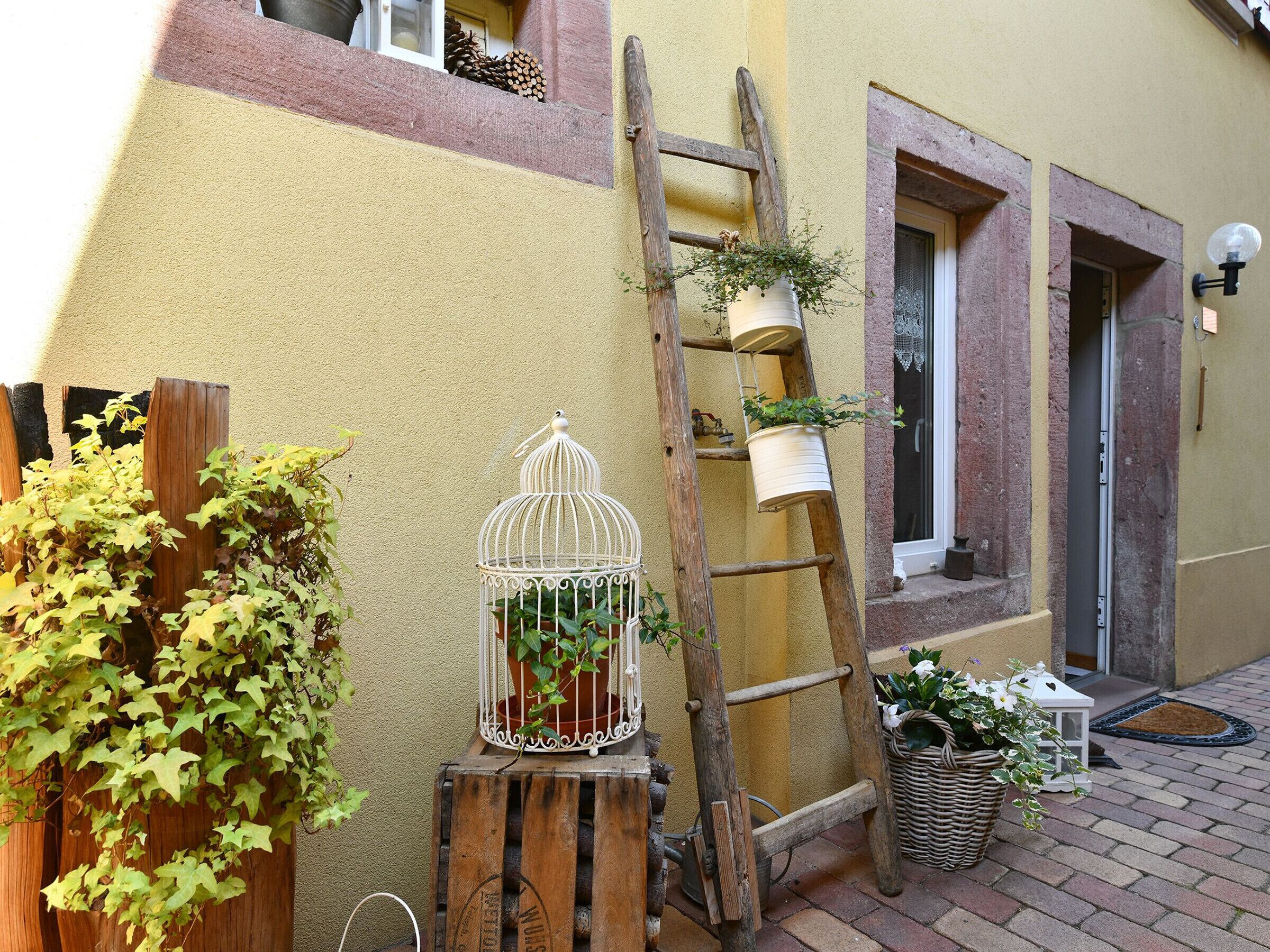 A wooden ladder leaning against a yellow wall with a white birdcage and potted plants.