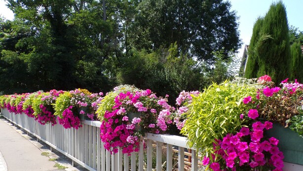 A white metal fence with hanging flower planters containing pink flowers. - Beautiful Country Home with Terrace, Close to Amenities & Highways, Sleeps 5 + Baby (Baldersheim)