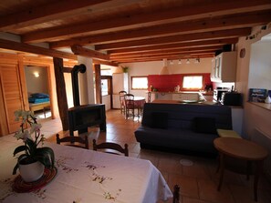 TV, fireplace - Charming Alsatian Farmhouse: 2 Terraces, BBQ, Accessible, Near Vosges – Sleeps 6 (Bretten)