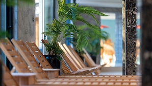 Sillones de madera y una planta en maceta en un espacio luminoso con pared de vidrio y vistas al exterior.