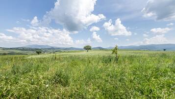 Un campo cubierto de hierba con algunos árboles y montañas distantes bajo un cielo parcialmente nublado.