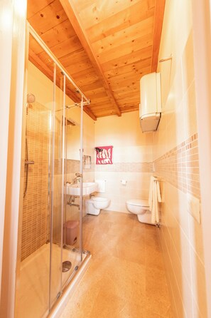 Hair dryer, bidet, towels