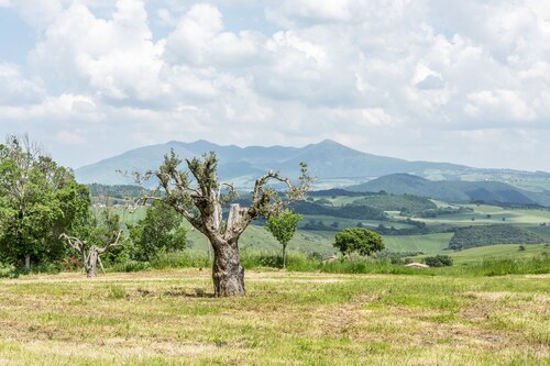 Dimora Schioppo - Irpinia