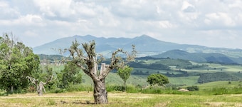 Dimora Schioppo - Irpinia