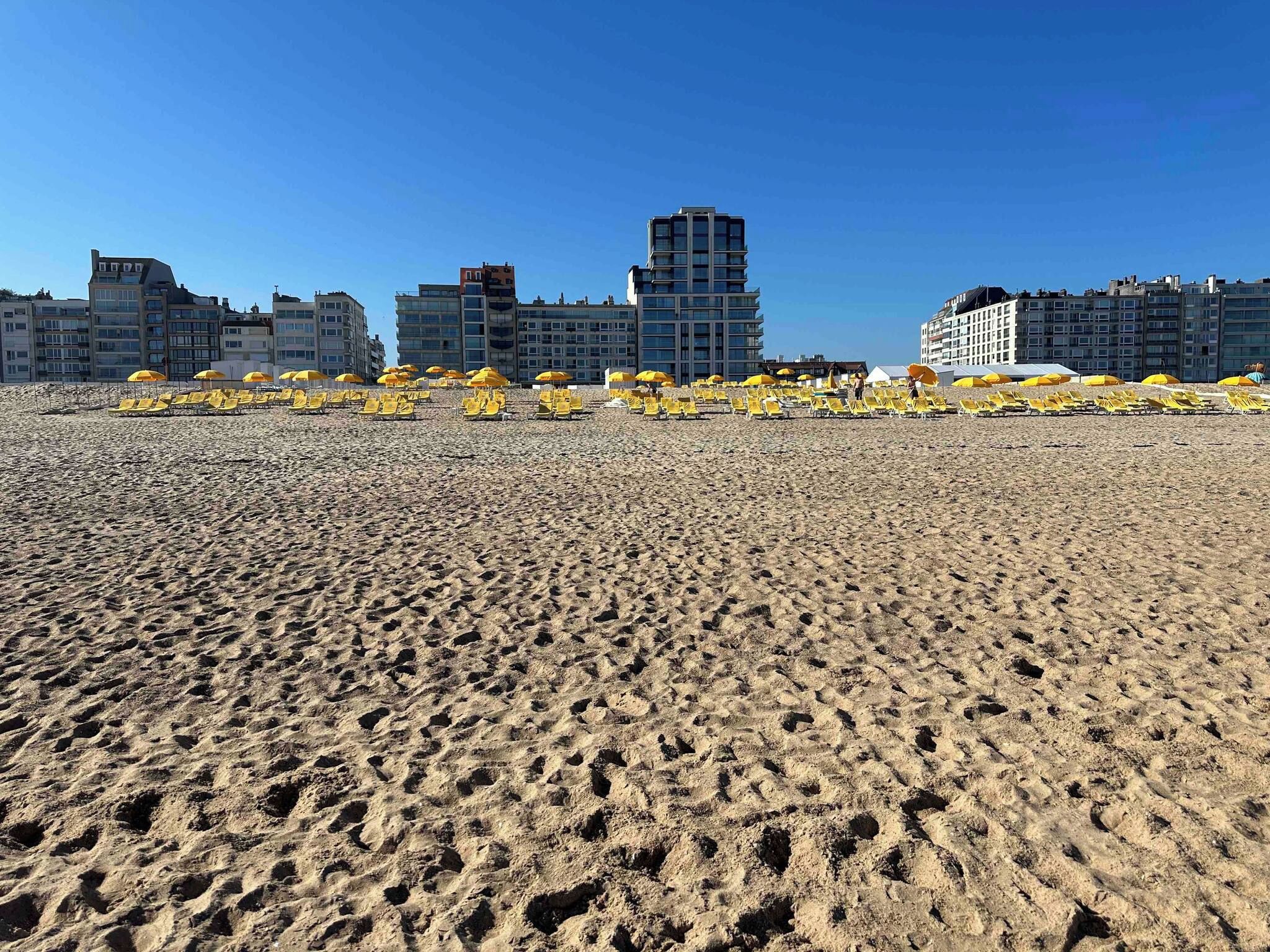 A sandy beach with yellow umbrellas and lounge chairs, buildings in the background.