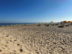 Une plage bordée de rangées de chaises longues et de parasols, un ciel dégagé et l’océan en toile de fond.