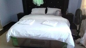 Basic Double Room Single Use, 1 Bedroom, Garden View | Soundproofing, iron/ironing board, free WiFi, bed sheets