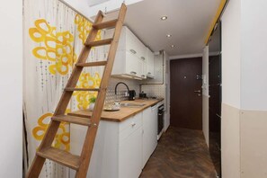 Fridge, oven, stovetop, electric kettle