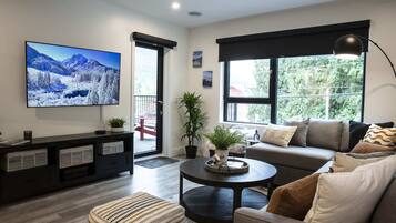 TV, fireplace, books, offices