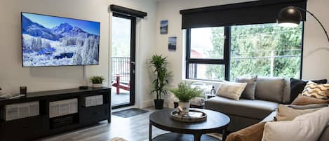 TV, fireplace, books, offices