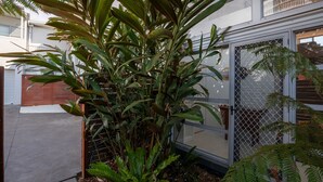 Un quartier résidentiel avec une maison, un garage et une grande plante au premier plan.