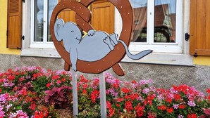 Ein Gebäude mit einem herzförmigen Schild, das einen Elefanten und einen Hund zeigt, umgeben von bunten Blumen.