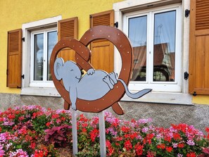 Detalle del exterior
