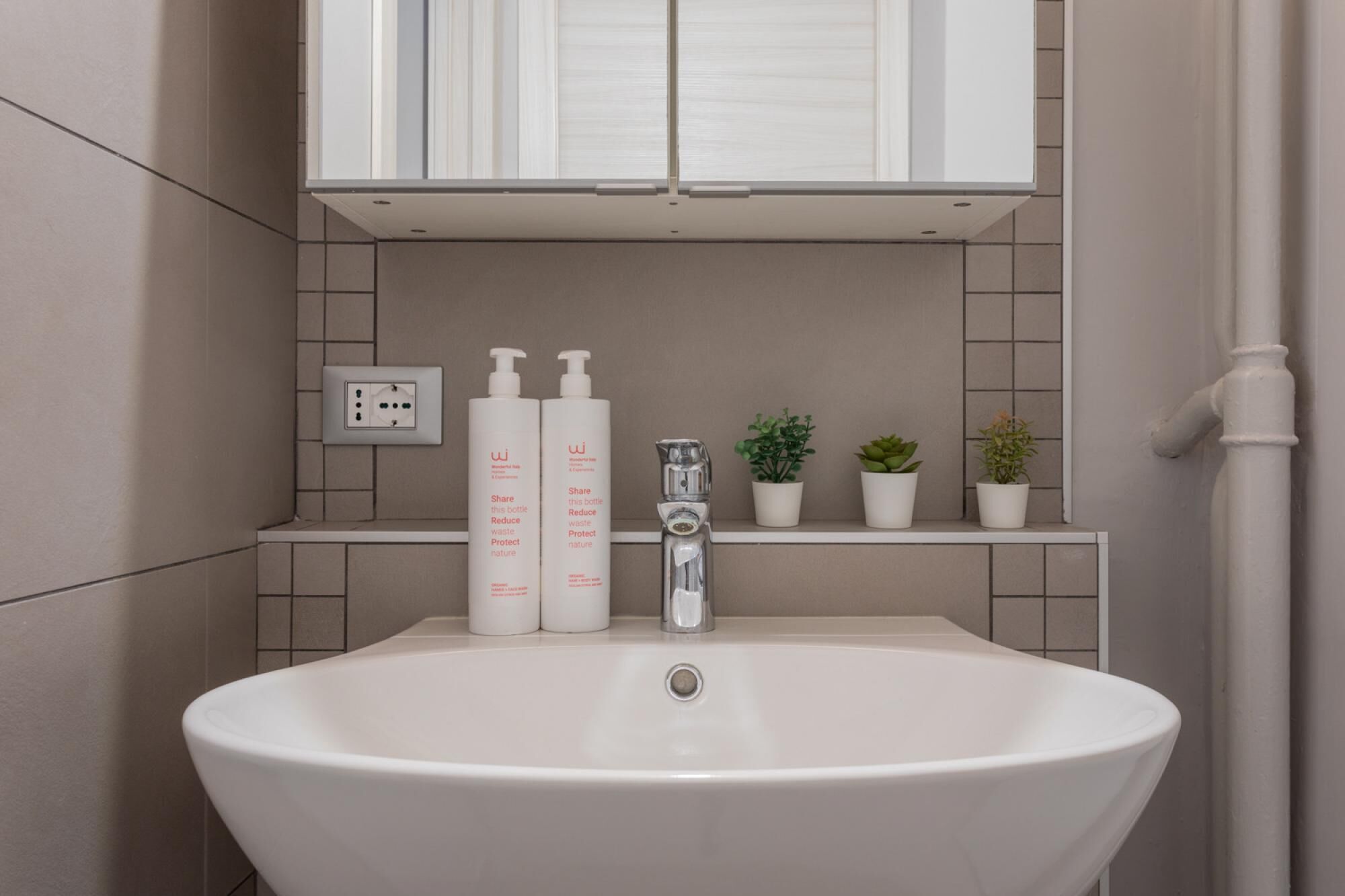 Une salle de bain avec un lavabo blanc, deux flacons de savon liquide, un robinet argenté et trois petites plantes en pot disposées sur une étagère.