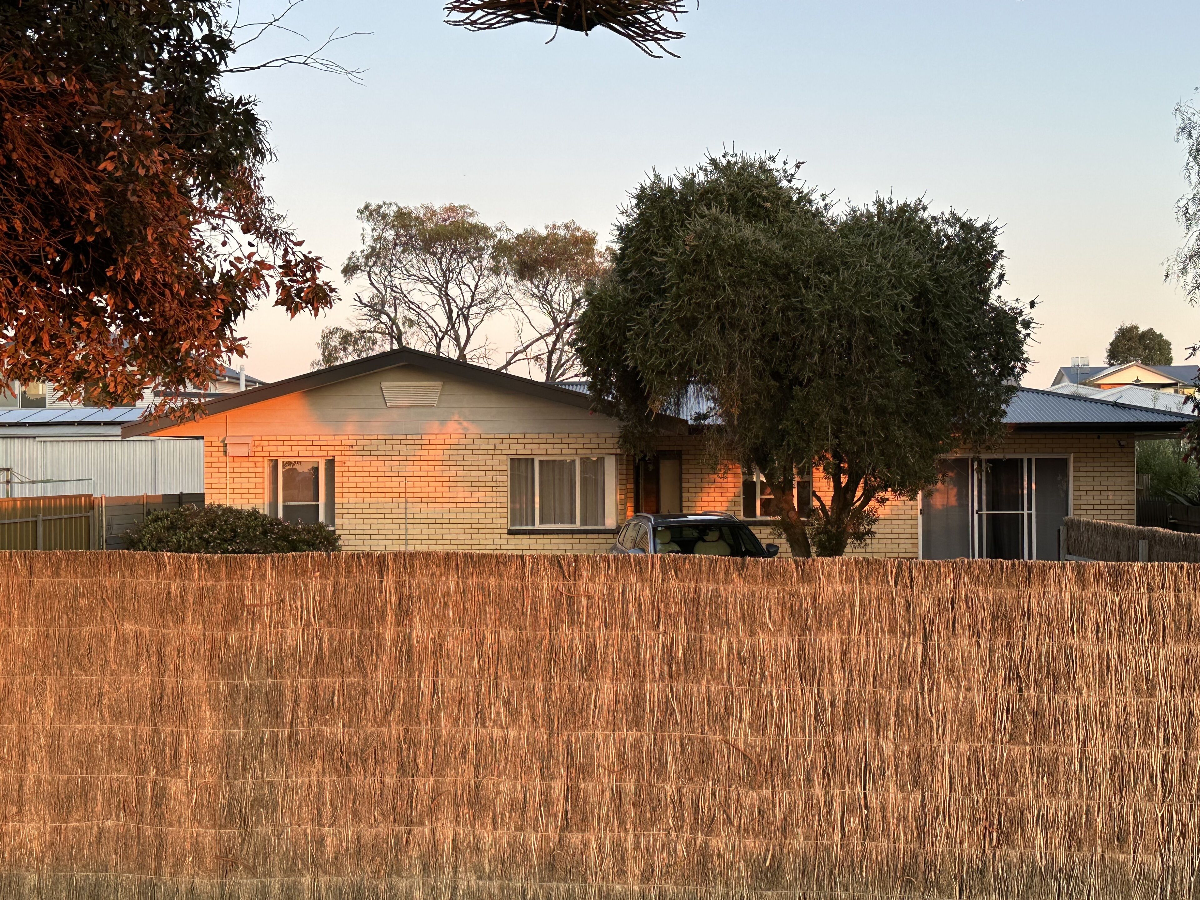 A single-story house with a brick exterior, a garage, and a large tree in front.