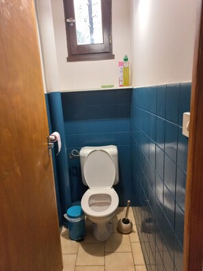 Shower, hair dryer, toilet paper