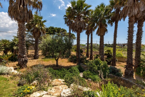Property grounds - 3408 Villa Sunkiss by Perle di Puglia (Pulsano)