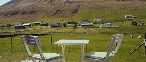 Standard House | Terrace/patio