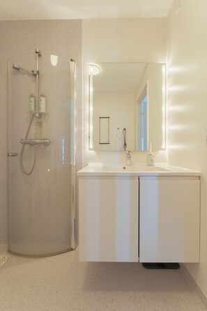 Departamento | Baño | Regadera, secadora de cabello, toallas, jabón 