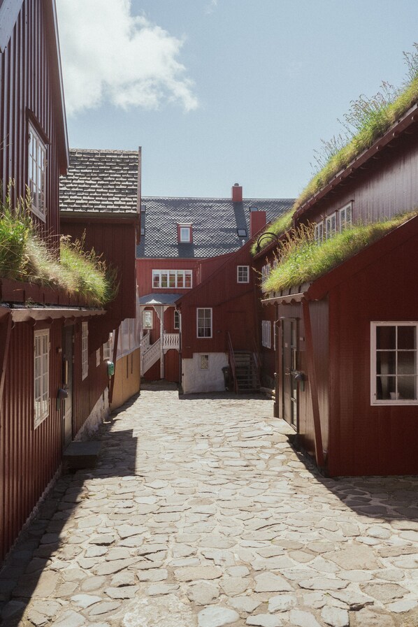 Hiking - 1 Bedroom Apartment | Central | Tórshavn (Tórshavn)