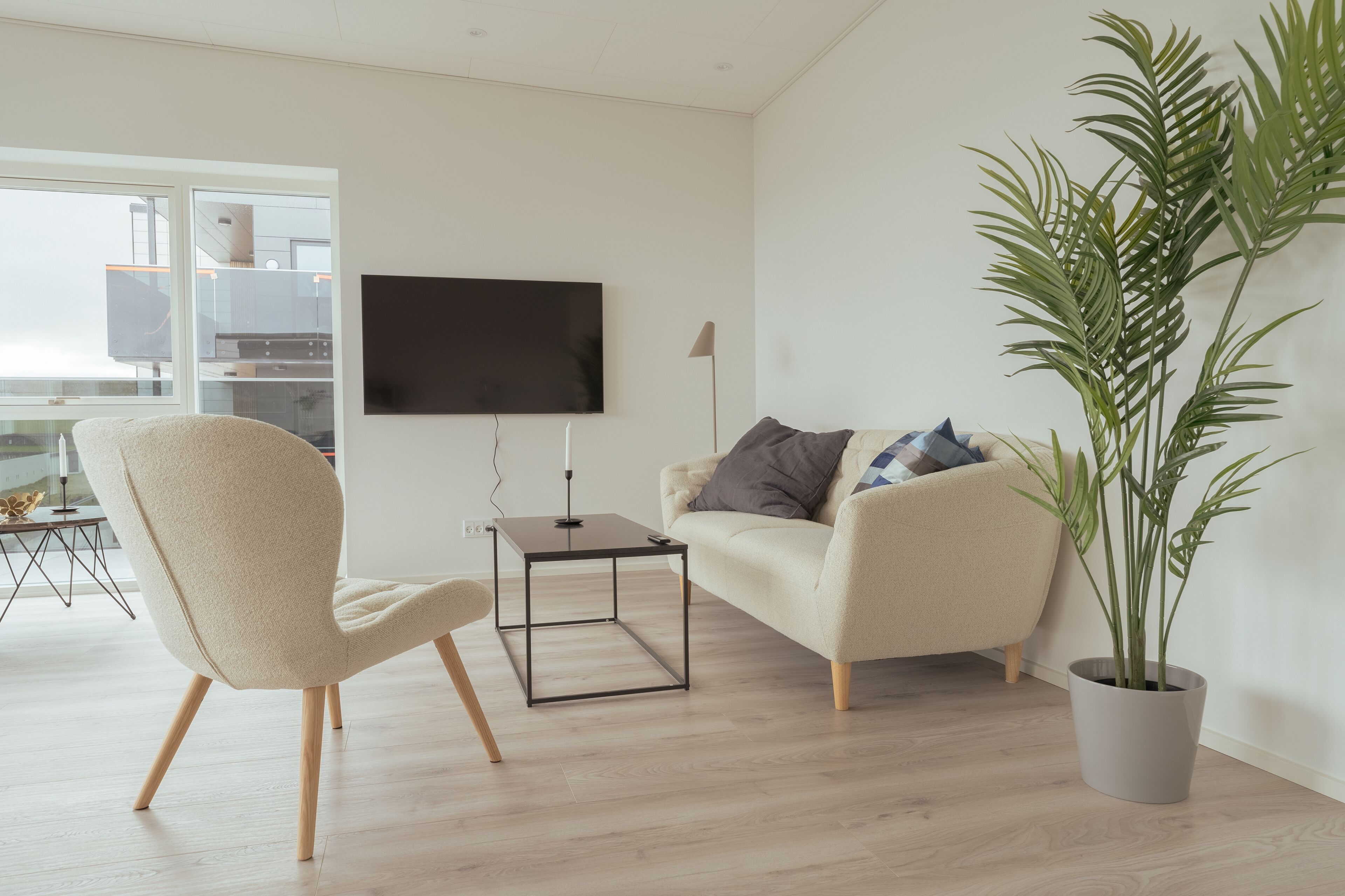 A modern living room with a sofa, a chair, a TV, and a potted plant.