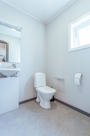 Bathroom features a sink, toilet, and mirror above the sink, with a window and light-colored carpeting.