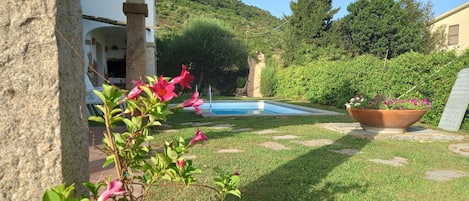 Terrain de l’hébergement