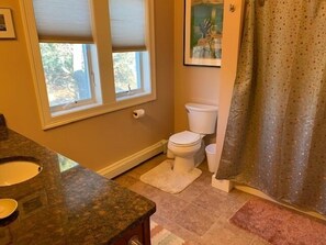 Ein Badezimmer mit Toilette, Waschbecken, Fenster und Duschvorhang.