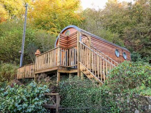 Exterior - The Kites Nest (Tregaron)