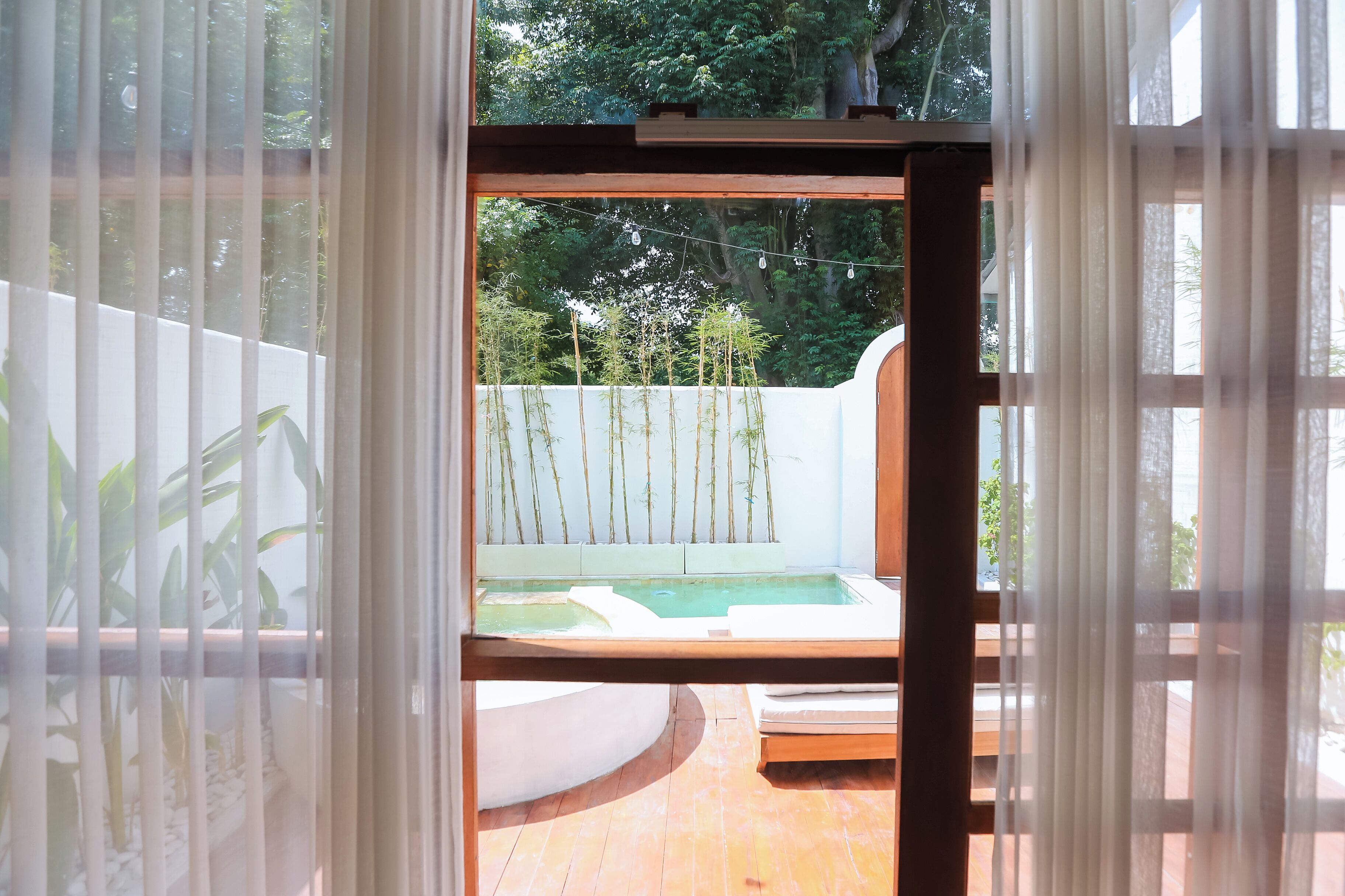Vista a través de una ventana que muestra plantas de bambú y una zona de piscina.