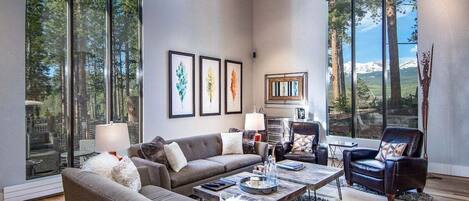 TV, caminetto, tavolo da calcetto