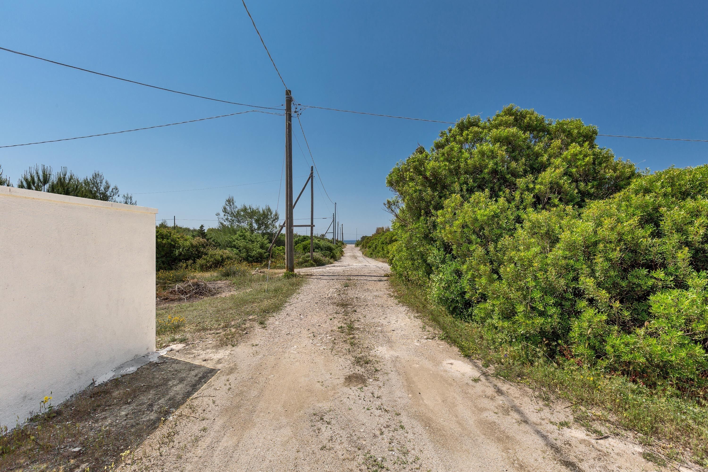 A rural dirt road flanked by greenery and utility poles.