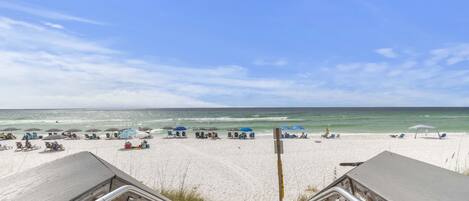 بالقرب من الشاطئ