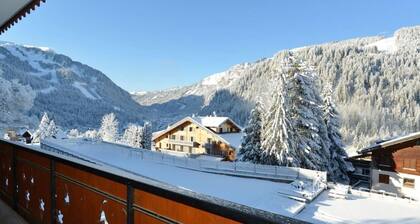 Ground floor, balcony, tv, 65m², Châtel
