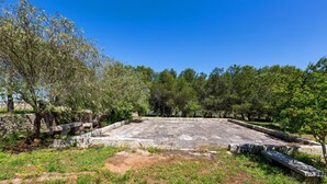 An open courtyard with stone flooring, surrounded by trees and greenery.