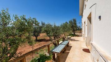 Parco della struttura