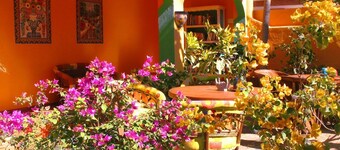 Penthouse Condo - 1 BR Suite - Room #10