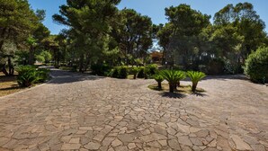 Pátio pavimentado com lajes de pedra, rodeado por árvores e pequenas plantas semelhantes a palmeiras.