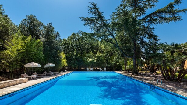 Piscina retangular com água azul cristalina, rodeada por espreguiçadeiras e guarda-sóis, com árvores ao fundo.