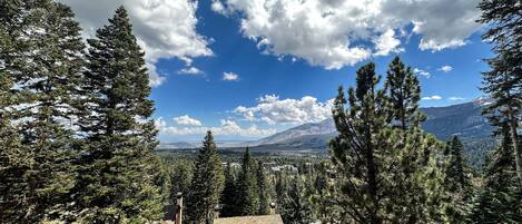 A mountain view with a cabin and surrounding trees.