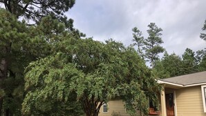 A house with a large tree in front, a grassy yard, and a clear sky.