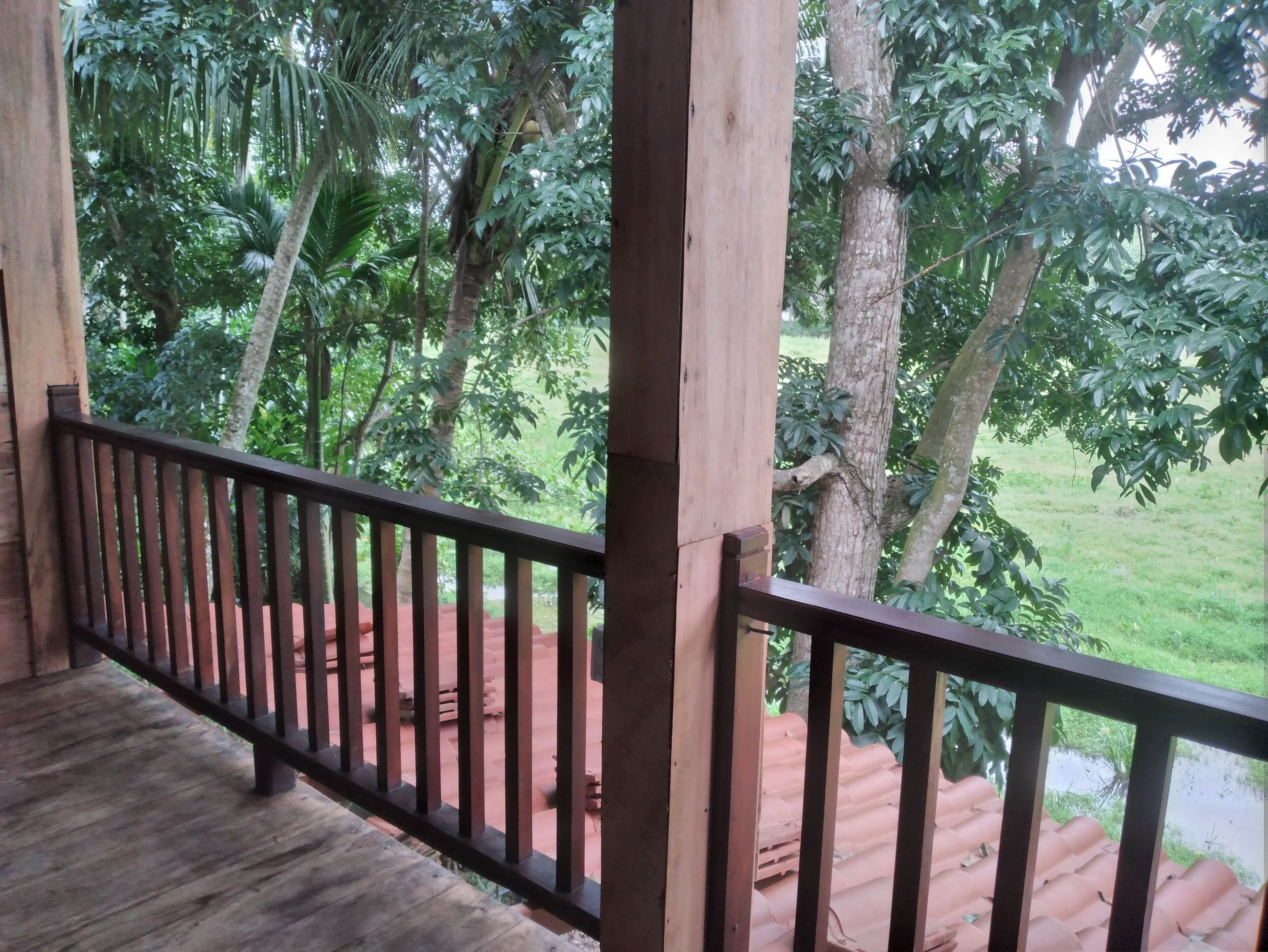 A wooden balcony with a metal railing overlooking a lush garden with various trees and a small pond.