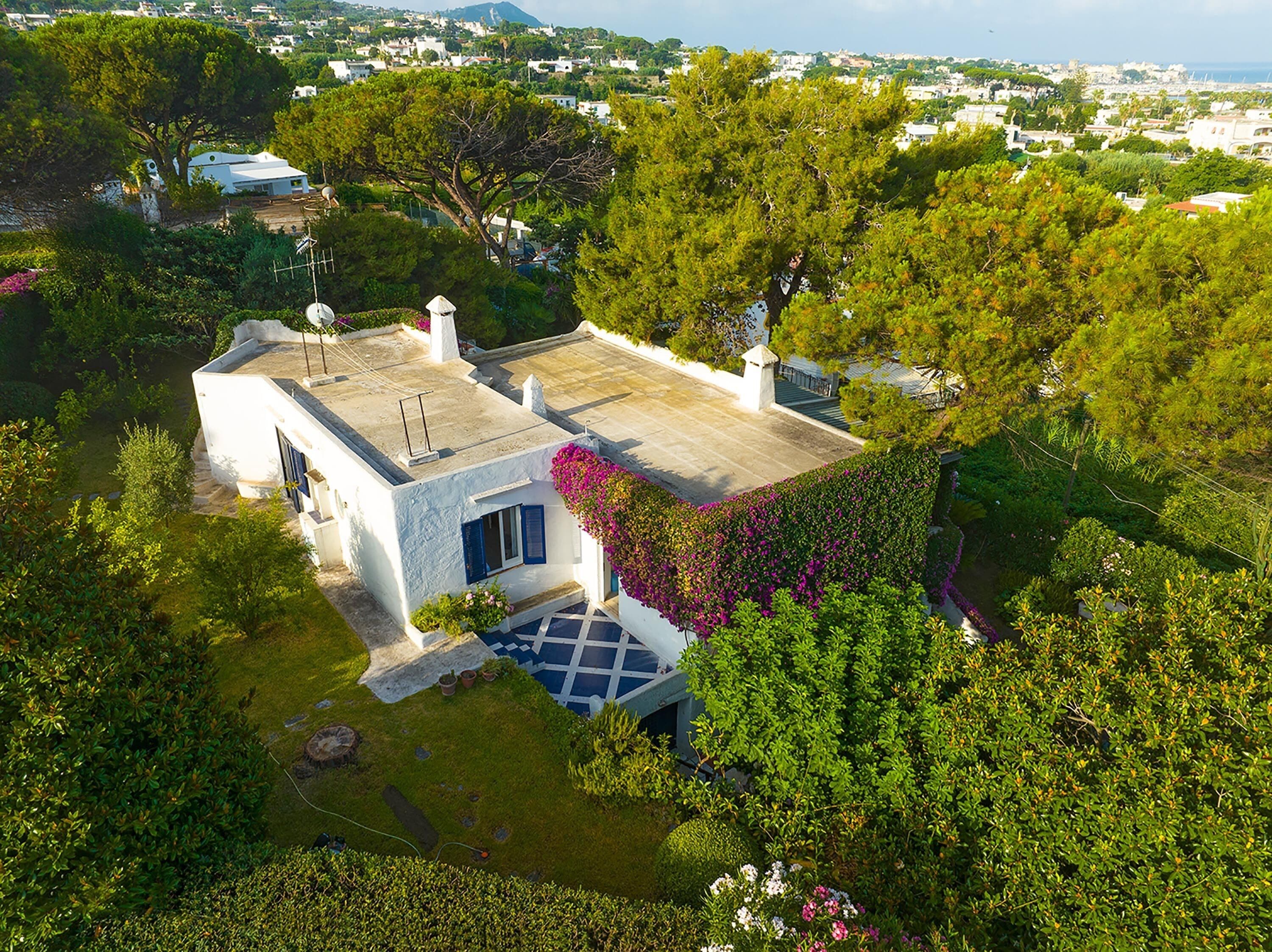 A white building with a blue door and windows, surrounded by lush greenery and trees.