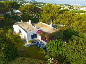 Exterior - 3604 Villa Pretner by Barbarhouse (Forio)