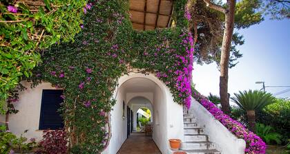 3604 Villa Pretner by Barbarhouse