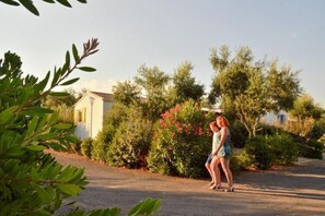 Jardines del alojamiento