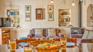 Un salon confortable avec une cheminée, un téléviseur et une bibliothèque.