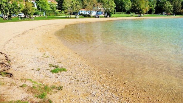 Una playa con agua cristalina, piedras y una zona con césped.